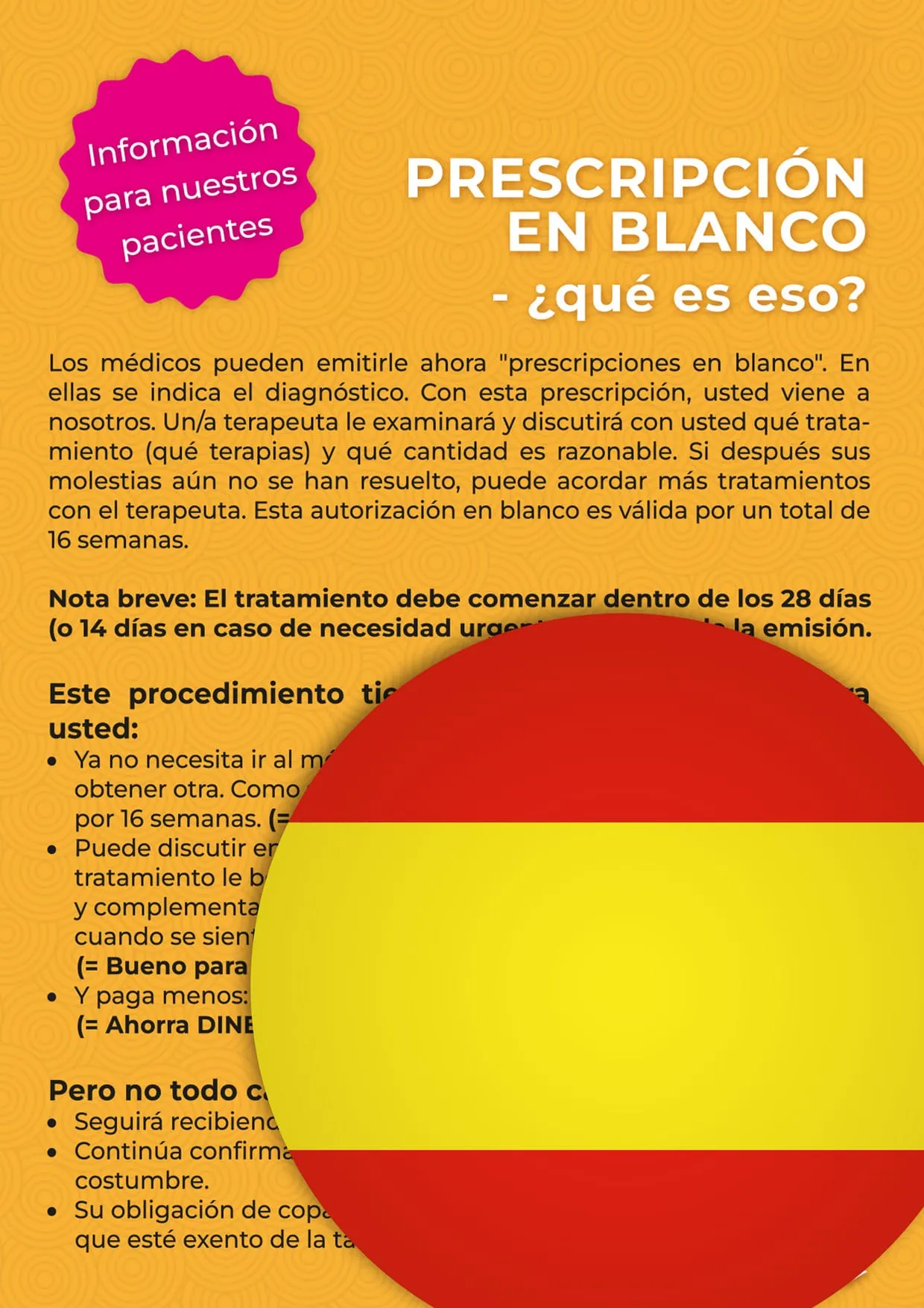 Prescripción en blanco de fisioterapia – Español